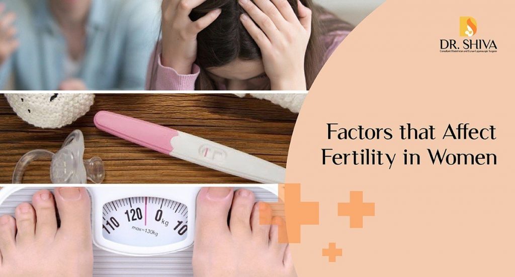 Factors That Affect Fertility In Women Fertility Issues Dr Shiva 2282